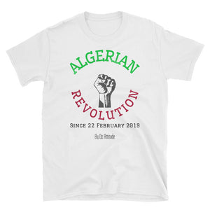 Algerian revolution™